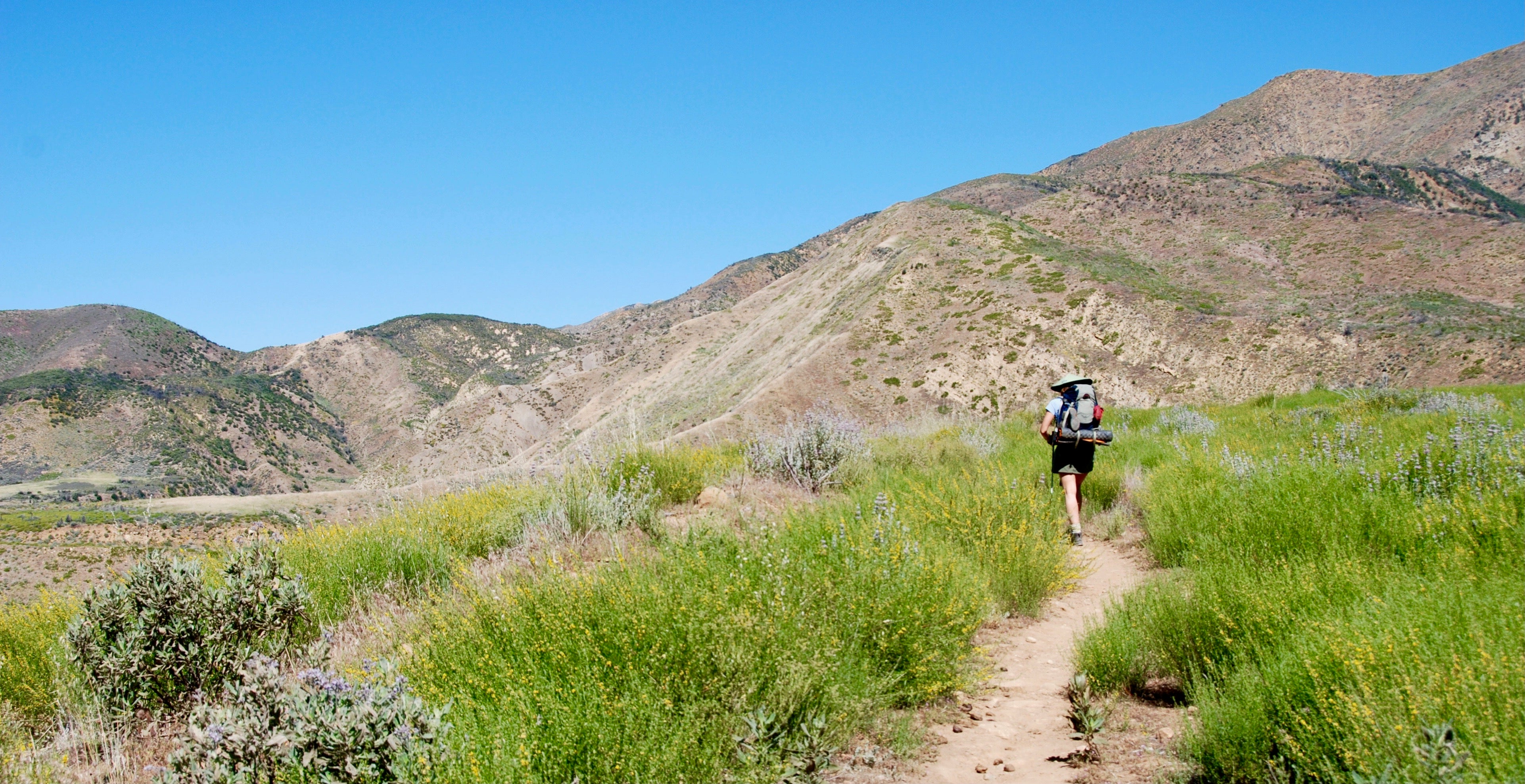 Women's Dresses & Skirts Real Cheap Sports, Ventura's Outdoor Store