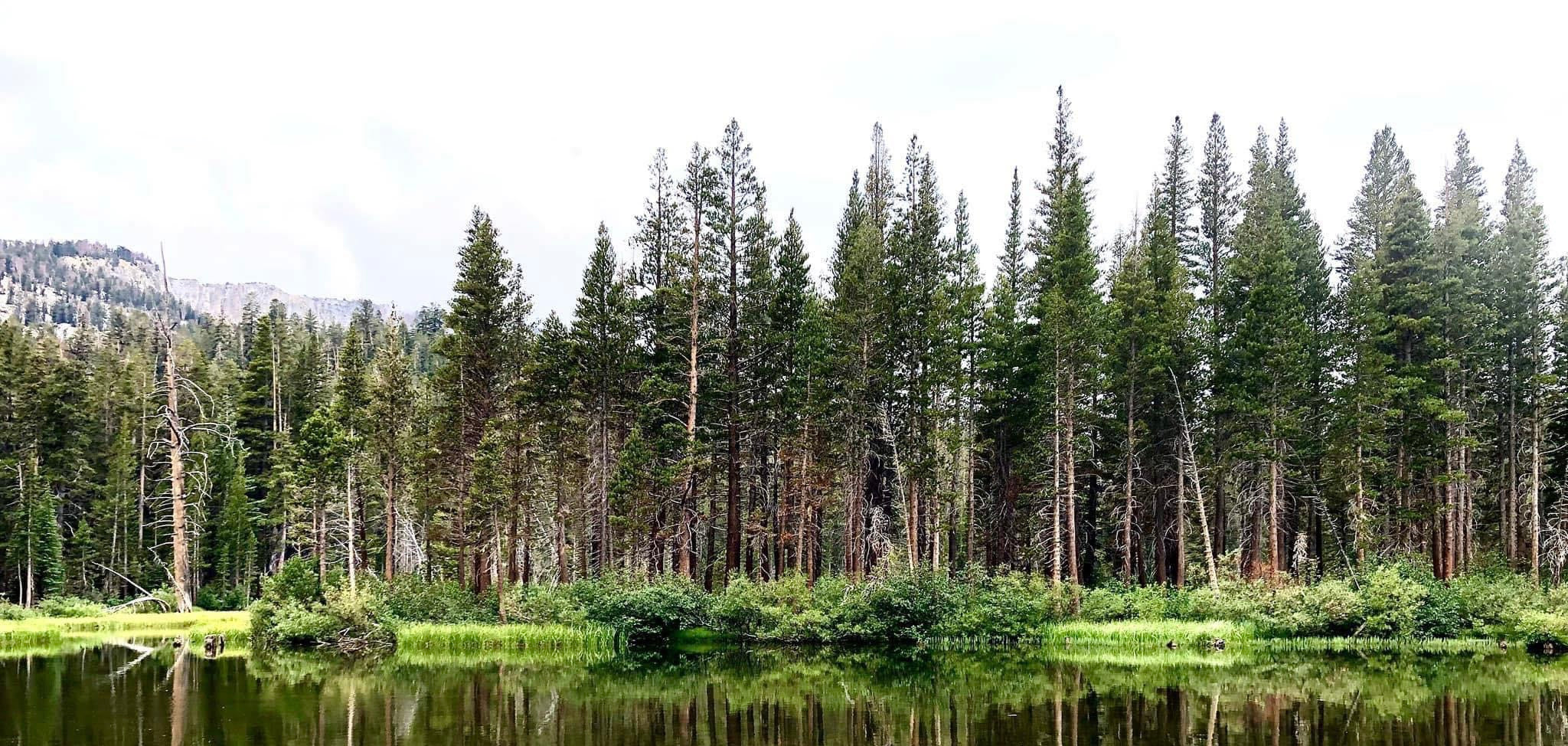 Find your favorite place. Real Cheap Sports, Ventura's Outdoor Store